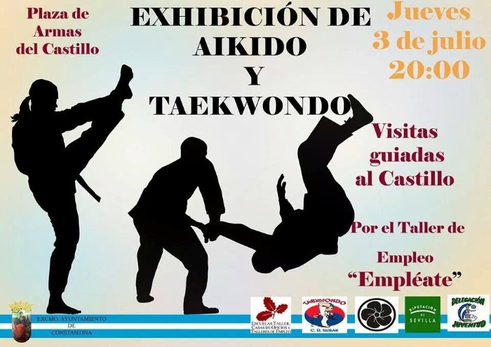 Exhibición Taekwondo