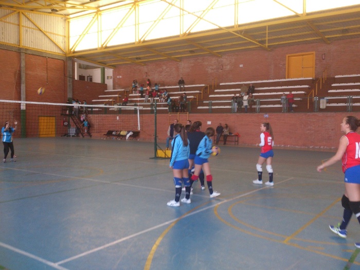 Juegos Deportivos Provinciales Voleibol (6)